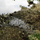 1608G 021 Donau Versickerung